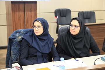 کارگروه مهندسی مشاغل قطب ده دانشگاه های علوم پزشکی